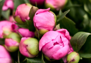 Juni 2025: Zum Sommeranfang kommen Herausforderungen auf uns zu